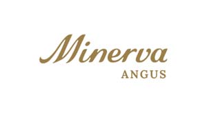 minerva-angus